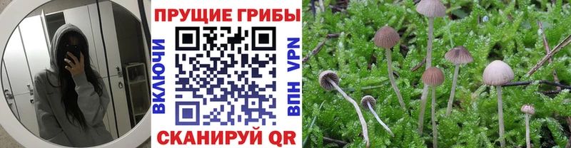 Псилоцибиновые грибы MAGIC MUSHROOMS  Купить  Козловка 